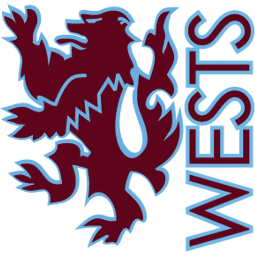 Western District Lions 1st Grade