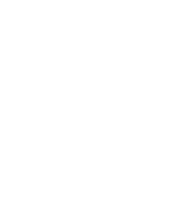 Brumbies Logo Mono White
