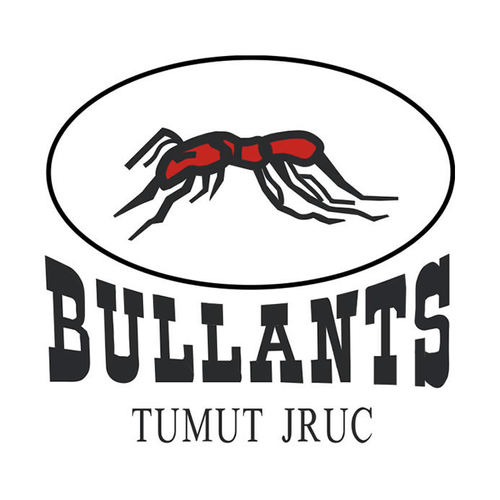 Bullants Touch U14's
